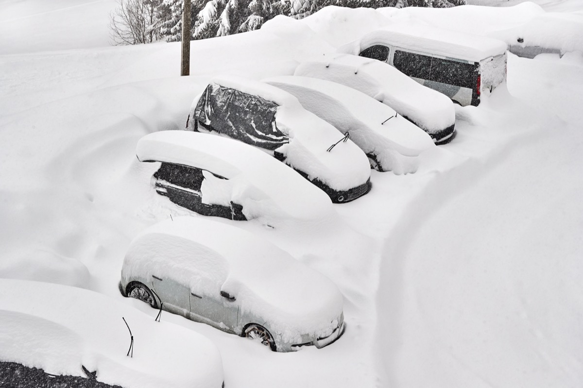 parked cars covered in snow