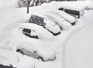 parked cars covered in snow