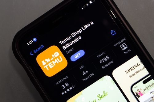 Temu app seen in App Store on iPhone screen