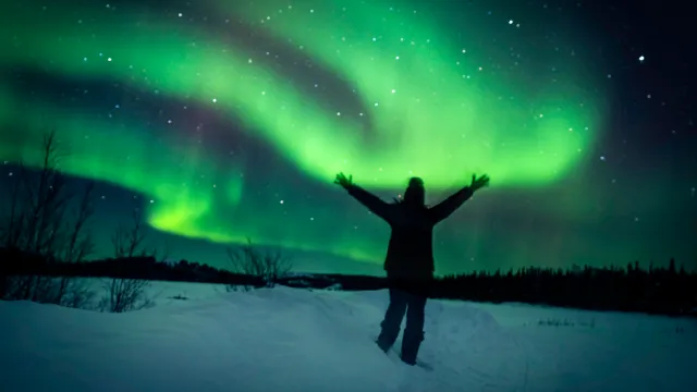 A person watching the Northern Lights in the snow