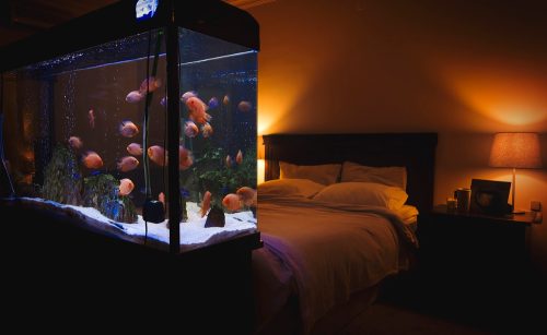 Fish tank aquarium in hotel room