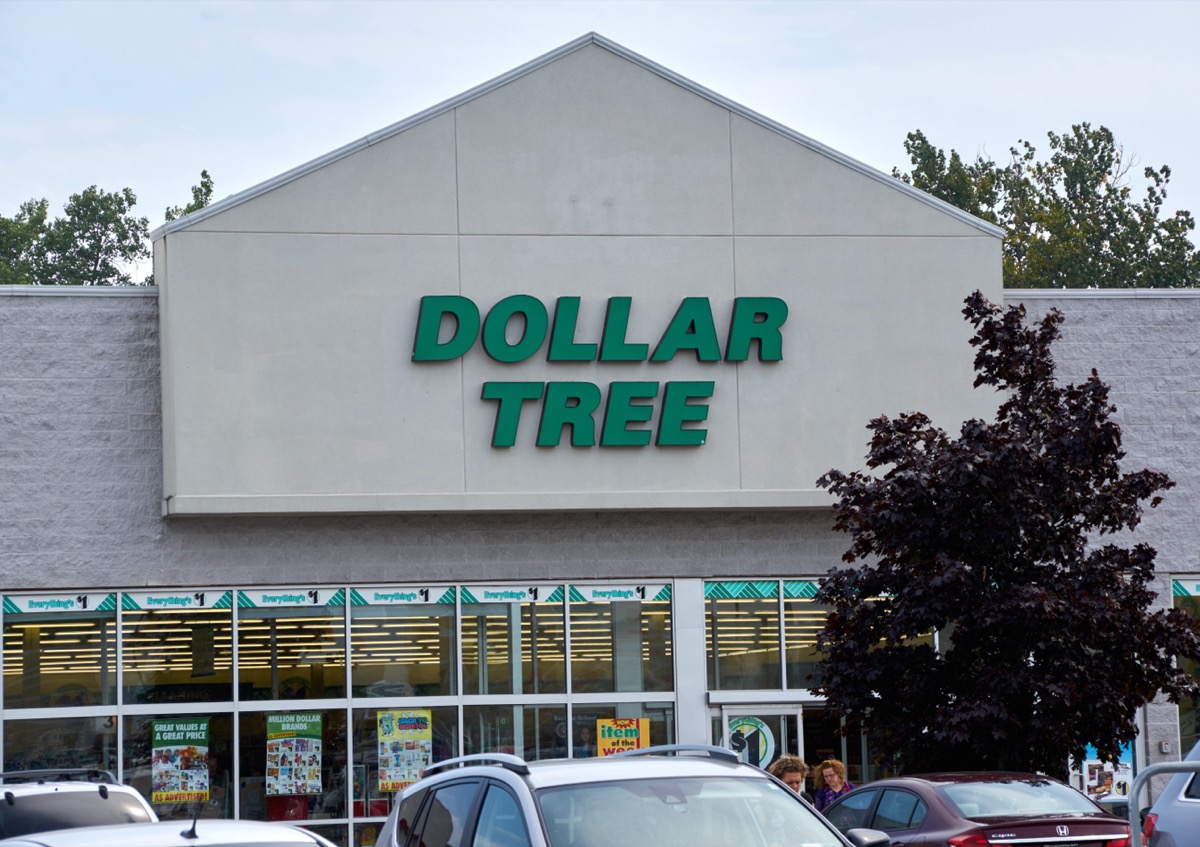 9 Best Things to Buy at Dollar Tree This Spring — Best Life
