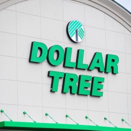 Dollar Tree Logo