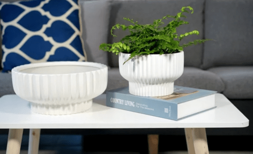 Two white planters sitting on a coffee table