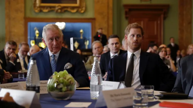 Charles and Harry at International Year of the Reef meeting in 2018
