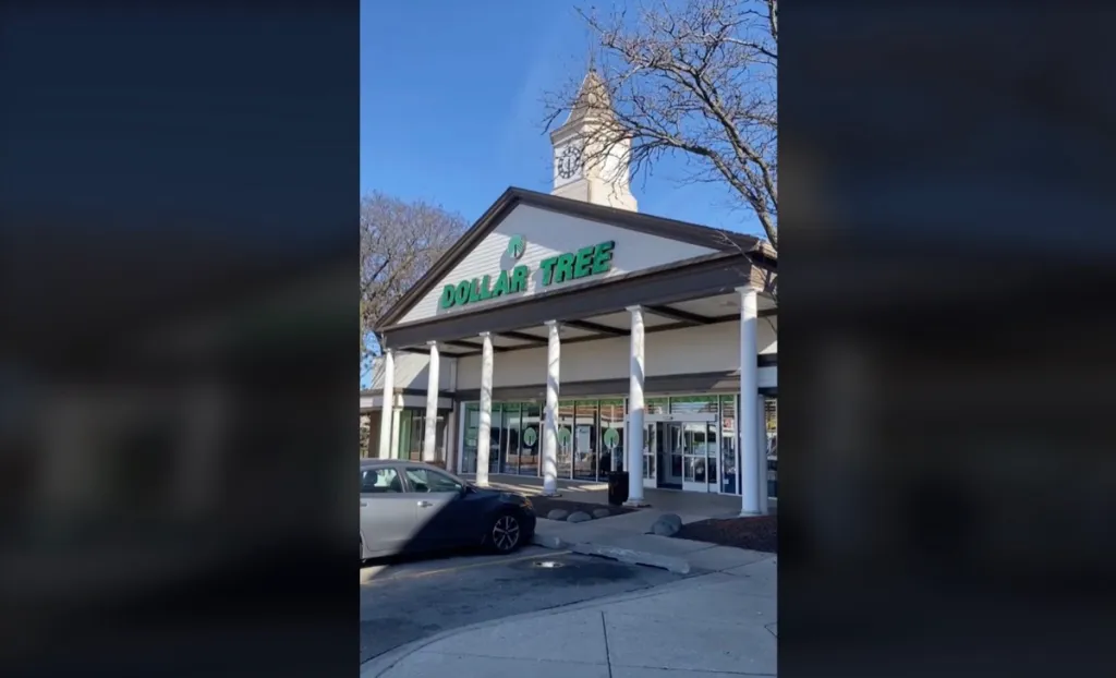 A Dollar Tree storefront as seen in a TikTok video