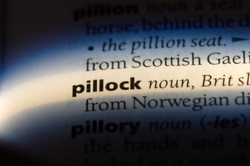 the word pillock appearing in the dictionary