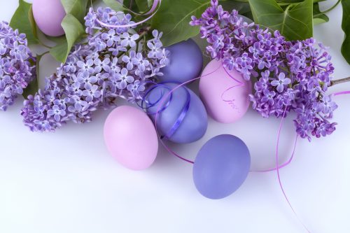 Purple Easter eggs with lilac flowers on a white background