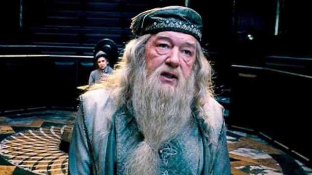michael gambon in harry potter and the order of the phoenix