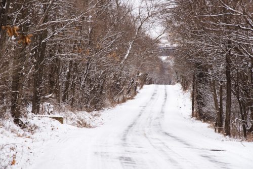 snow-covered road in springfield missouri