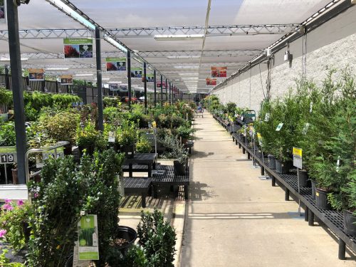 Walmart outdoor plant and garden department