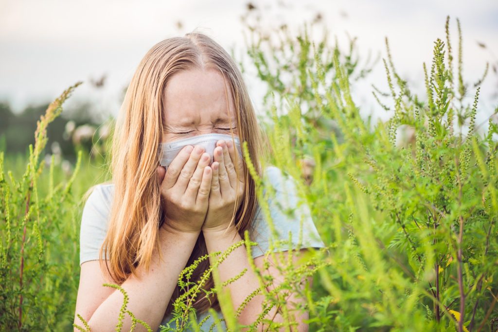 A young woman sneezing in a field surrounded by ragweed
