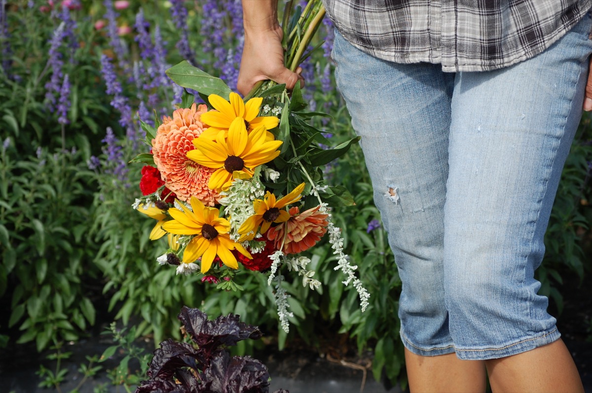A woman in denim jean capri pants holding a colorful bouquet of flowers while outside in garden