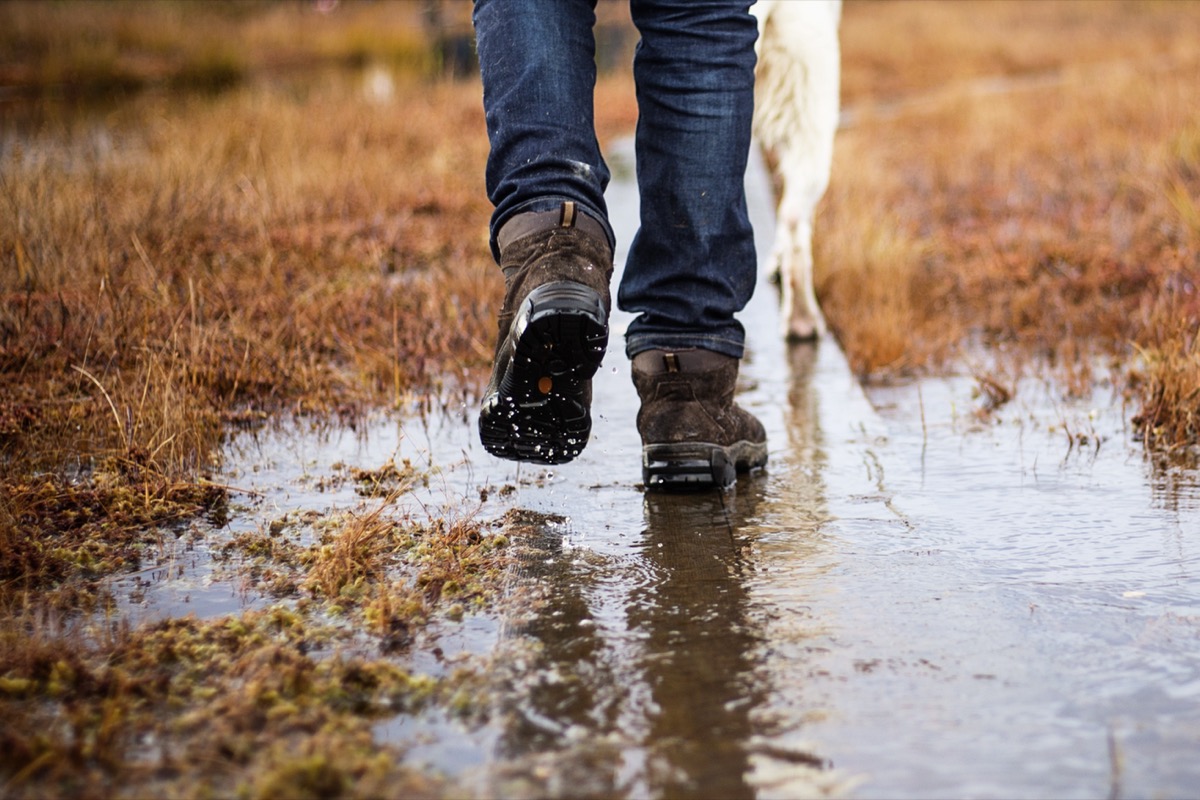 Man in hiking boots and jeans walking with dog in a rainy day swamp or a farm. 