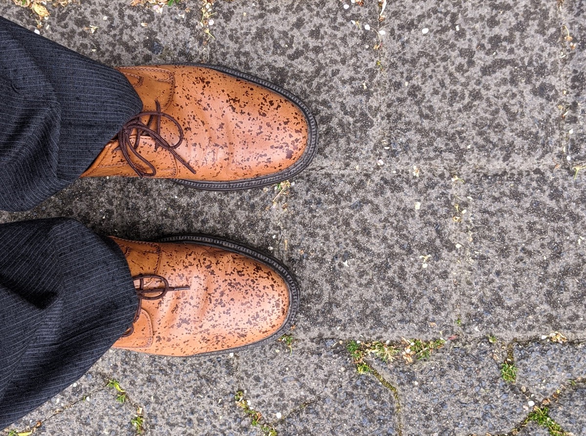 Spots show on men's brown leather dress shoes after rain. Perspective view of man looking down at his feet on a surface of pavers with grass.