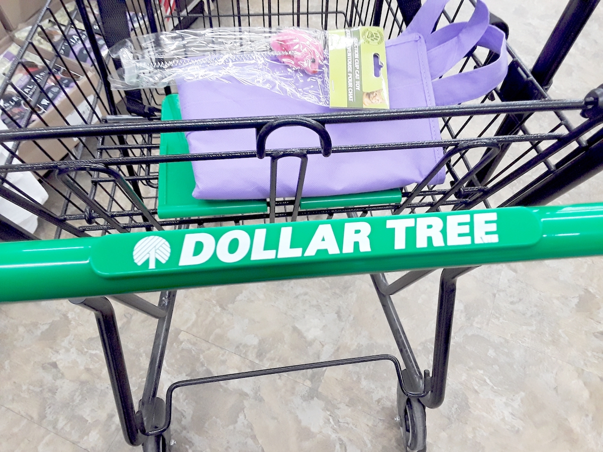 Close-Up of a Dollar Tree Shopping Cart