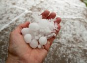A person's hand holding hailstones after a storm