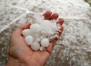 A person's hand holding hailstones after a storm