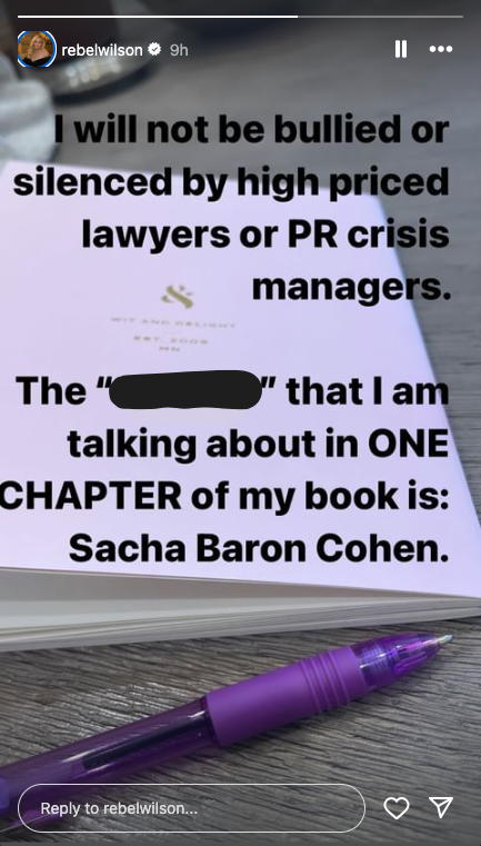 screenshot of Rebel Wilson's Instagram story talking about Sacha Baron Cohen