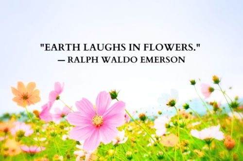"Earth laughs in flowers." — Ralph Waldo Emerson