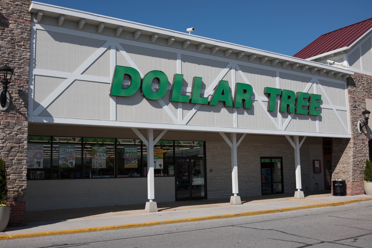 dollar tree store