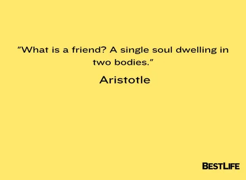 "What is a friend? A single soul dwelling in two bodies." — Aristotle