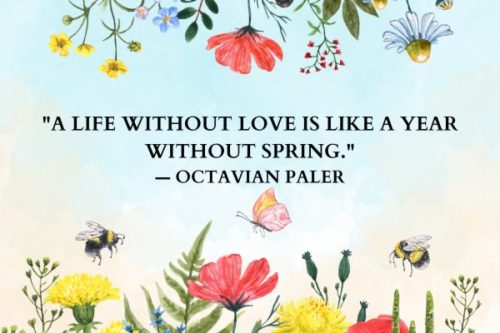 "A life without love is like a year without spring." — Octavian Paler