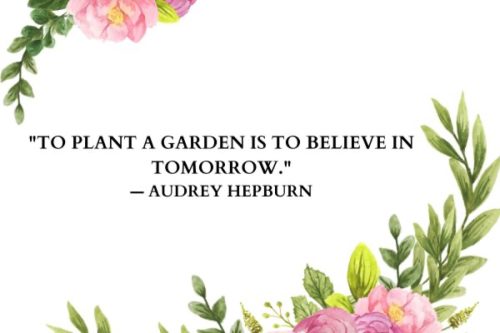 "To plant a garden is to believe in tomorrow." — Audrey Hepburn
