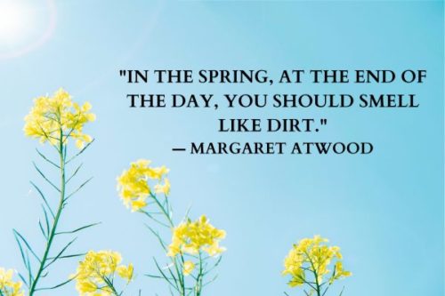 "In the spring, at the end of the day, you should smell like dirt." — Margaret Atwood