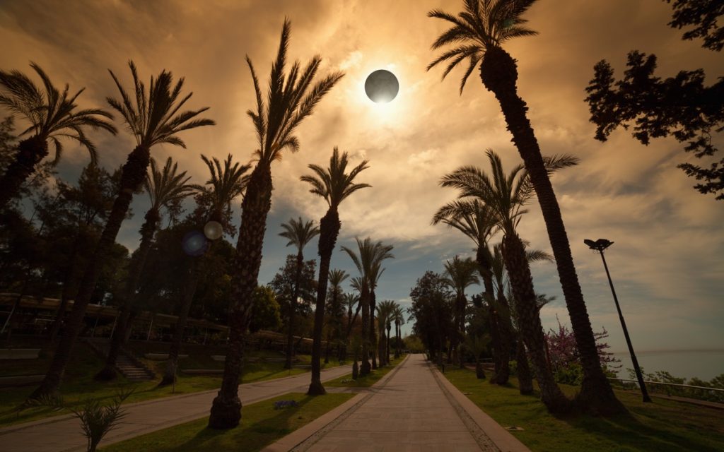 total solar eclipse over palm trees