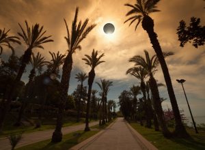 total solar eclipse over palm trees