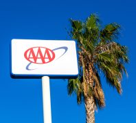 A close up of a AAA sign next to a palm tree