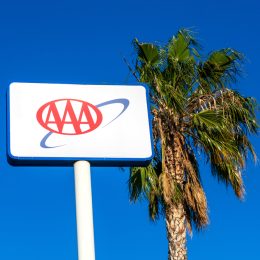 A close up of a AAA sign next to a palm tree