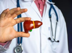 A close up of a doctor holding a model of a liver