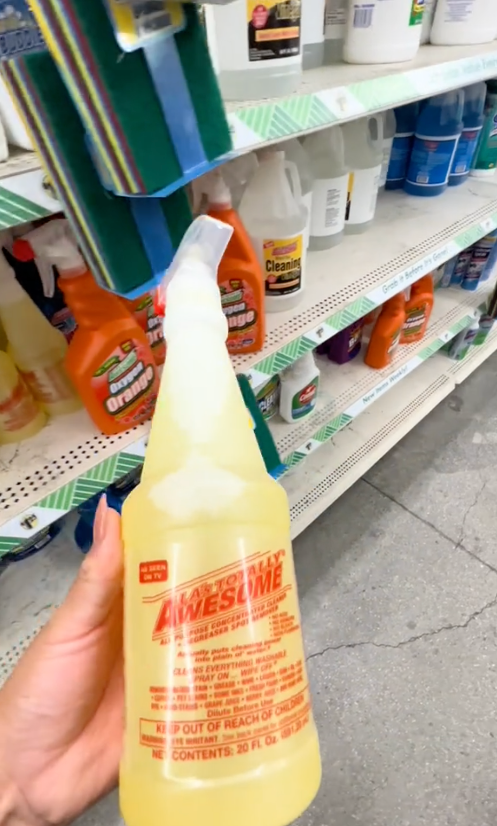 cleaning solution dollar tree