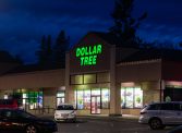 A Dollar Tree location at night with all of its lights on is surrounded by pine trees.