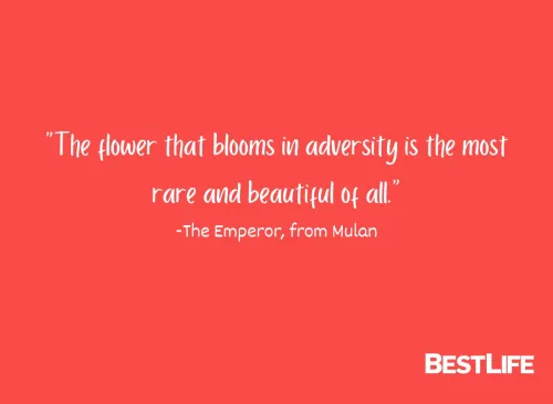 "The flower that blooms in adversity is the most rare and beautiful of all." —The Emperor, from Mulan