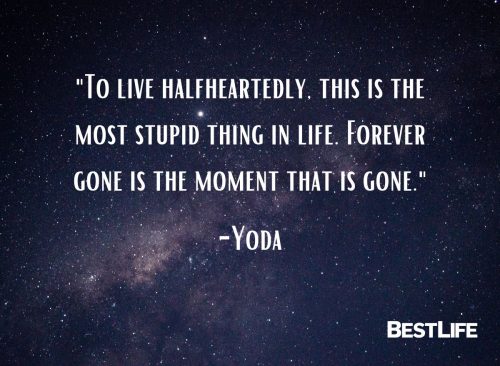 "To live halfheartedly, this is the most stupid thing in life. Forever gone is the moment that is gone." — Yoda