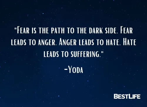 "Fear is the path to the dark side. Fear leads to anger. Anger leads to hate. Hate leads to suffering." — Yoda