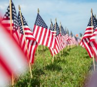 Hundreds of American flags planted on the lawn