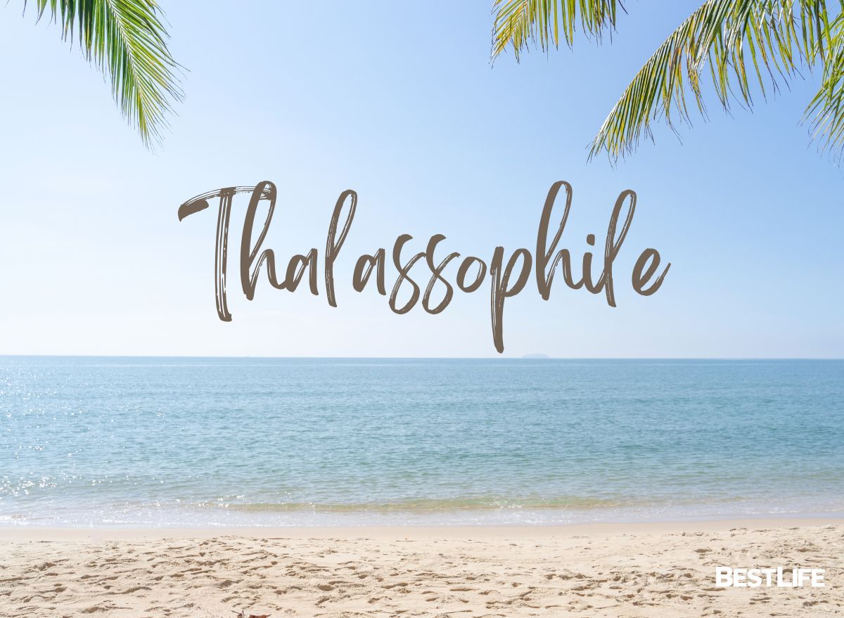 "Thalassophile"