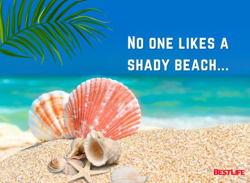 "no one likes a shady beach..."