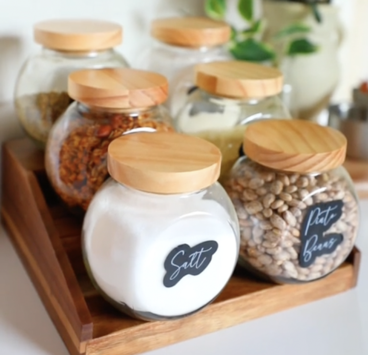 storage jars from dollar tree