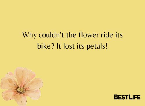 "Why couldn't the flower ride its bike? It lost its petals. "