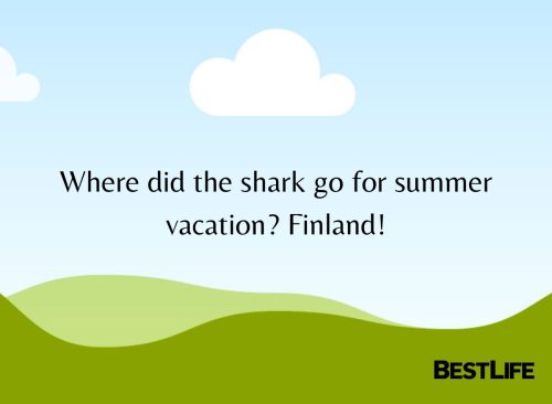 "Where did the shark go for summer vacation? Finland!"