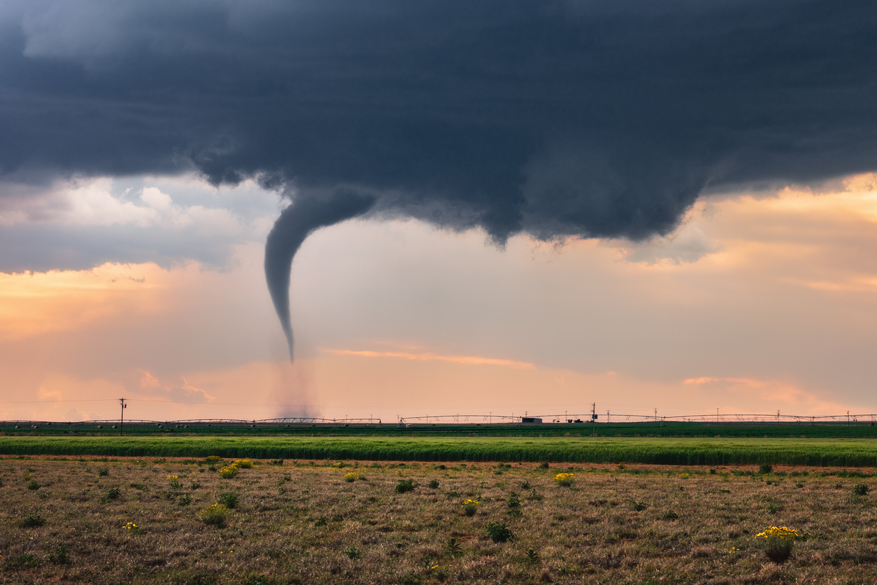 A tornado touching down in a field with a dark cloud above it