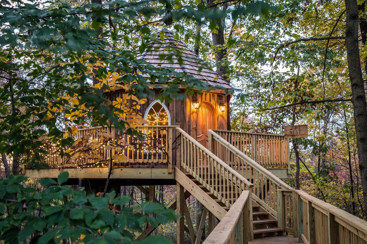 the nest at mohicans treehouse resort
