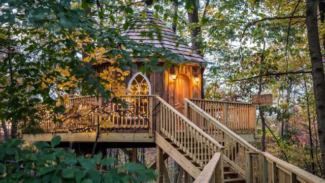 the nest at mohicans treehouse resort