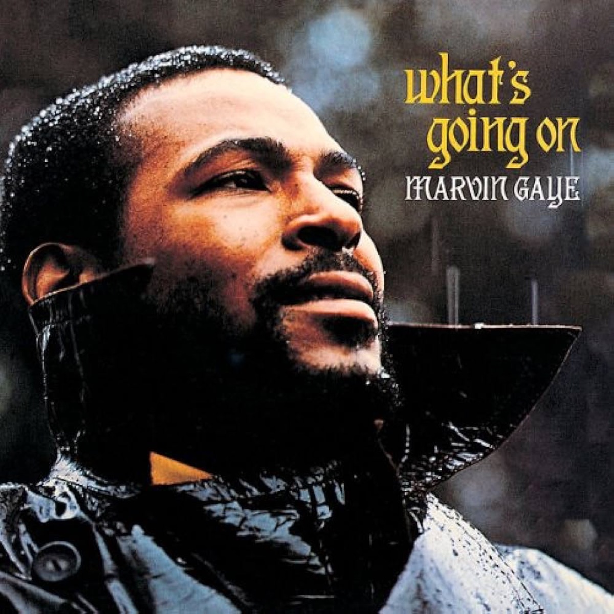 "What's Going On" by Marvin Gaye album cover
