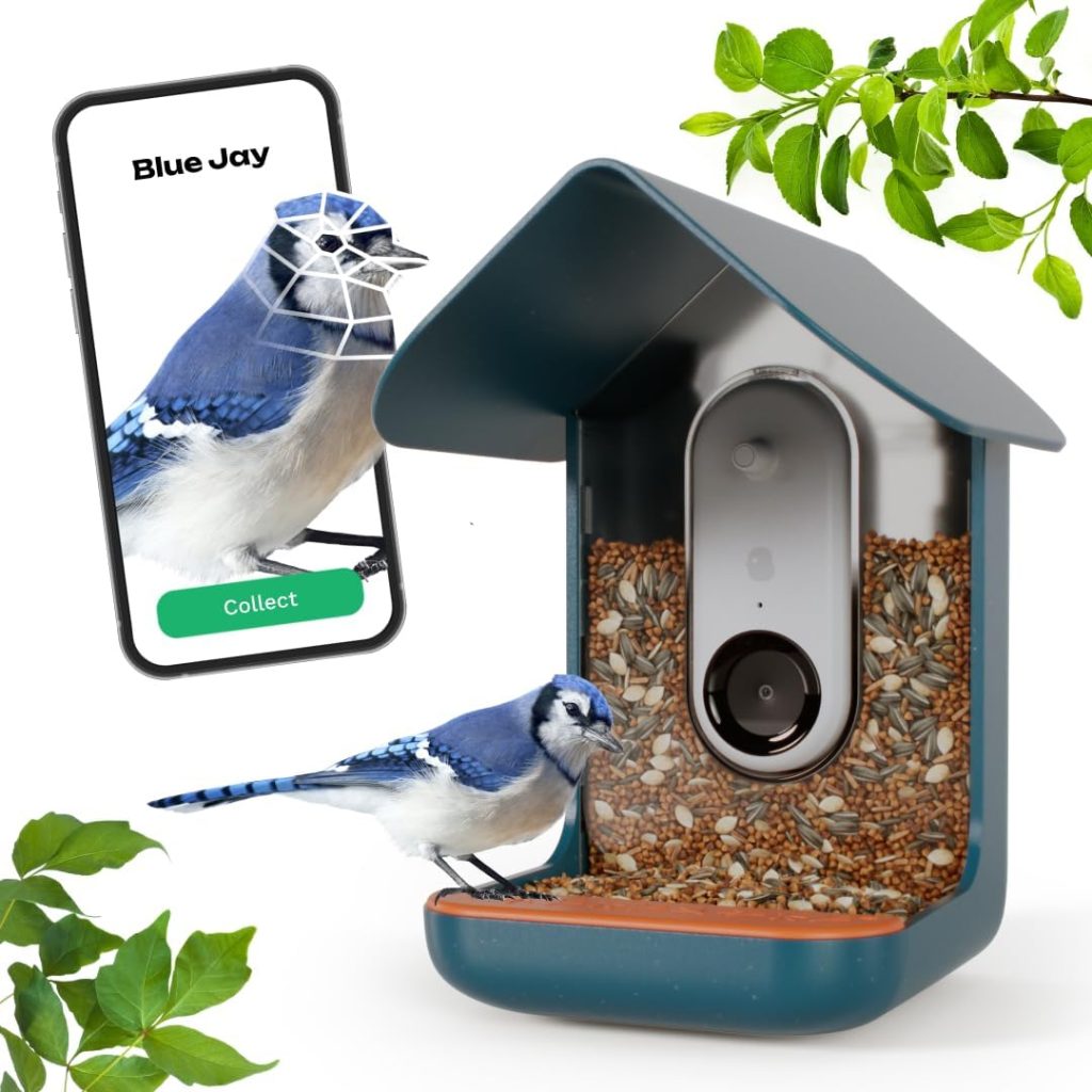 A Bird Buddy bird feeder with wireless camera